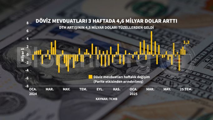 Döviz Mevduatları