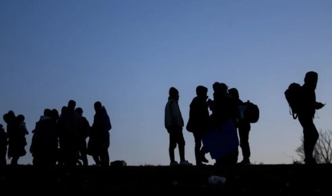 Avusturya Nüfusu Yalnızca Göçle Artıyor: Doğum Oranları Negatif Seyrediyor Göç