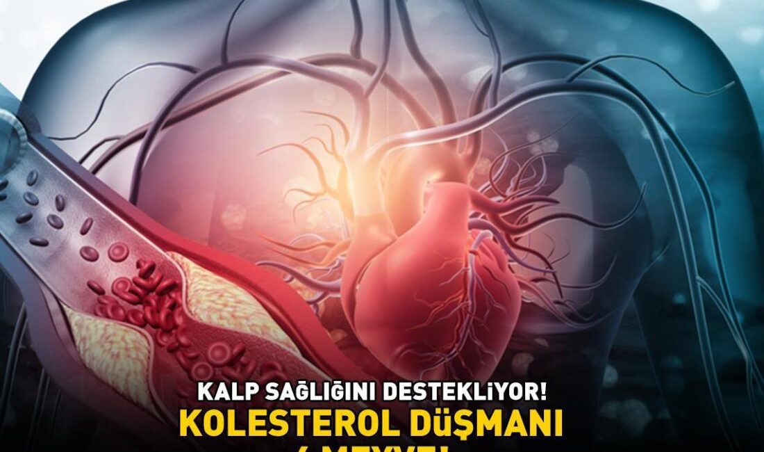 Kolesterol Seviyelerinin Sağlığımıza Etkileri: 6 Önemli Sorun Yüksek kolesterol, birçok