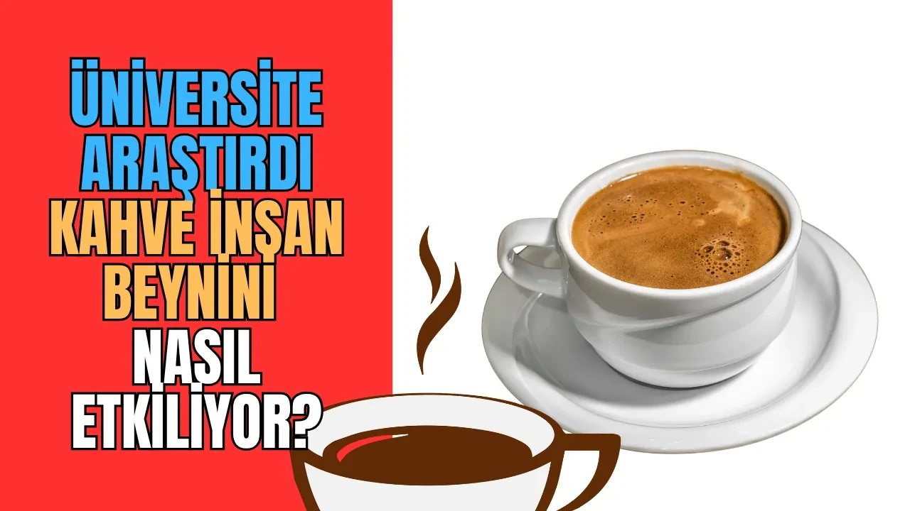 Bugun Saglik Icin Kahve Hakkinda Flas Gelismeler ve Yanlis Bilgiler