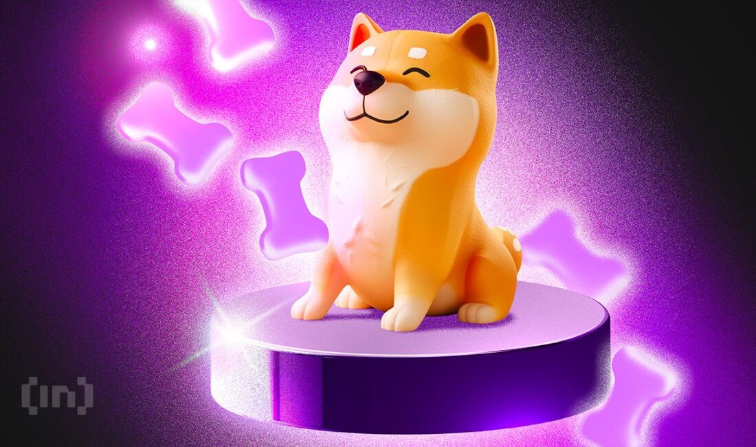 Shiba Inu (SHIB) Fiyat Düşüşü ve Piyasa Dinamikleri: Trader’ların Dikkat