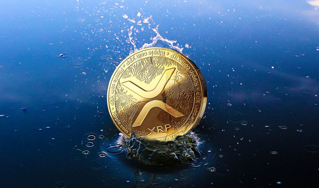 Brad Garlinghouse: Ripple’ın Steve Jobs’u Olabilir Mi? kripto para dünyası,
