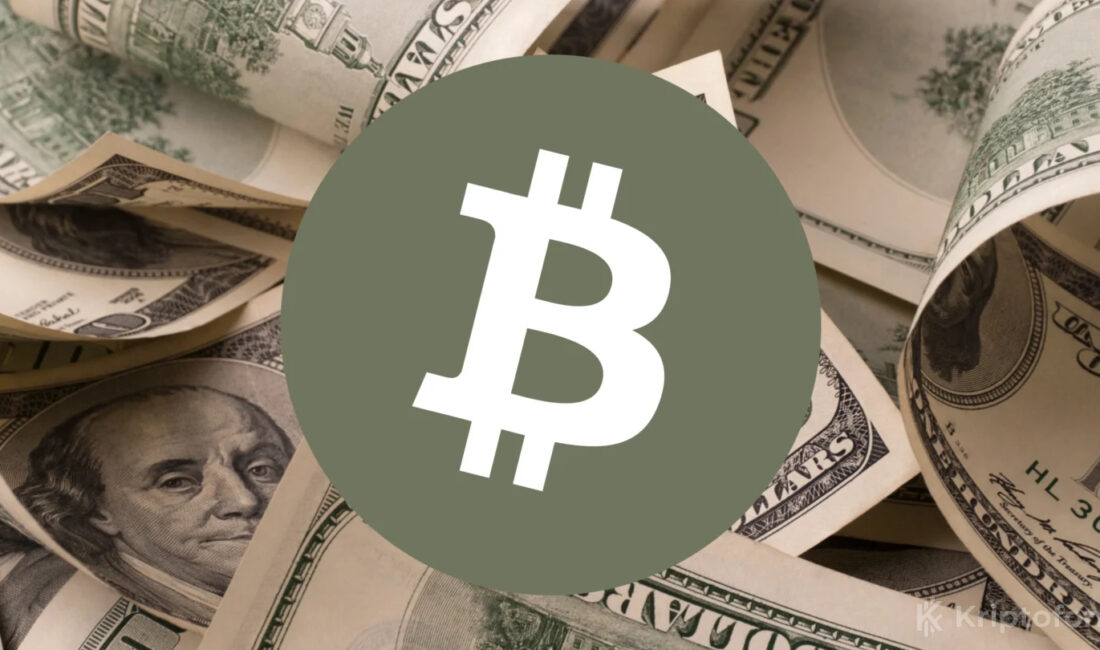 bitcoin ve kripto Paralara Yönelik Risk İştahının Artışı kripto para