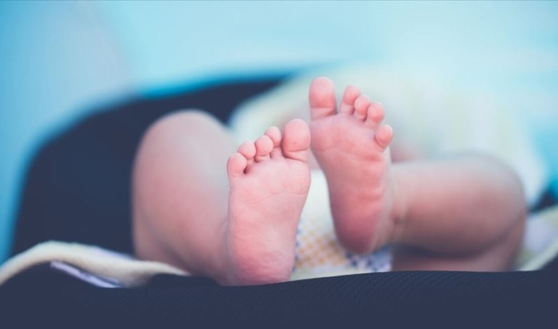 İngiltere’de Mitokondriyal Hastalıkların Önlenmesinde Tarihi Başarı: Sekiz Sağlıklı Bebek Dünyaya