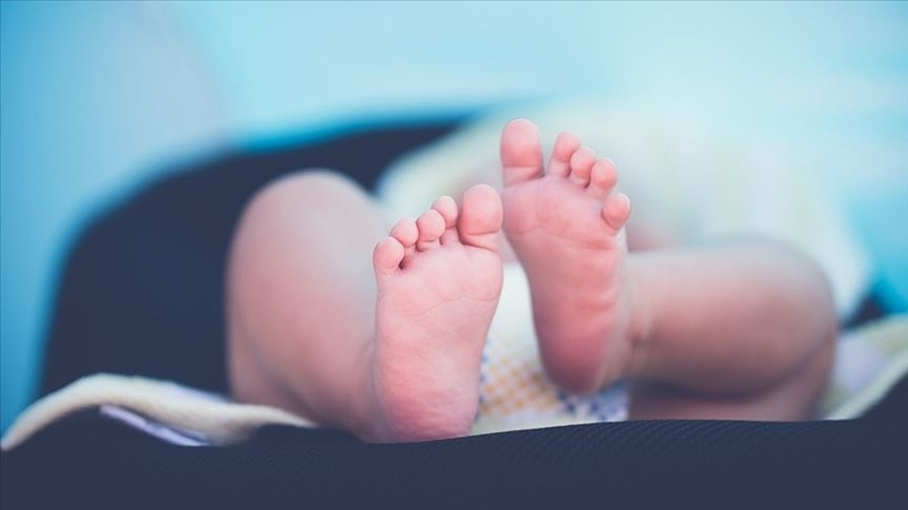 Ingilterede Uc Ebeveynli Bebek Dunyaya Geldi Yeni Bir Donem Basliyor