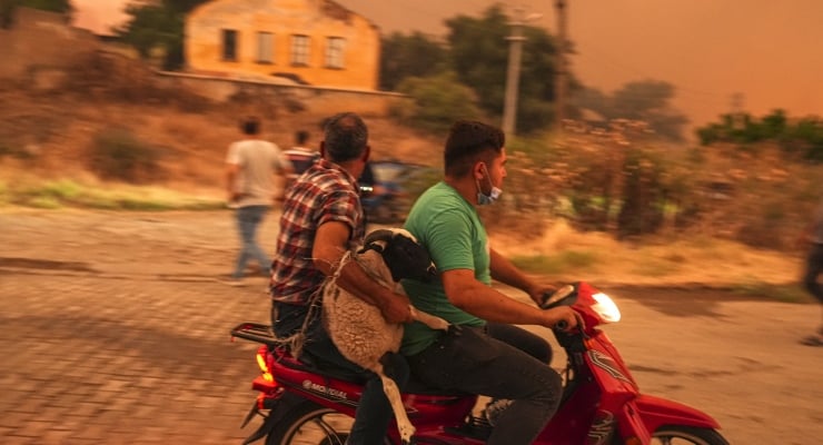 İzmir’de Orman Yangını: Ödemiş’te Felaket Boyutunda Zarar Yangın Durumu ve