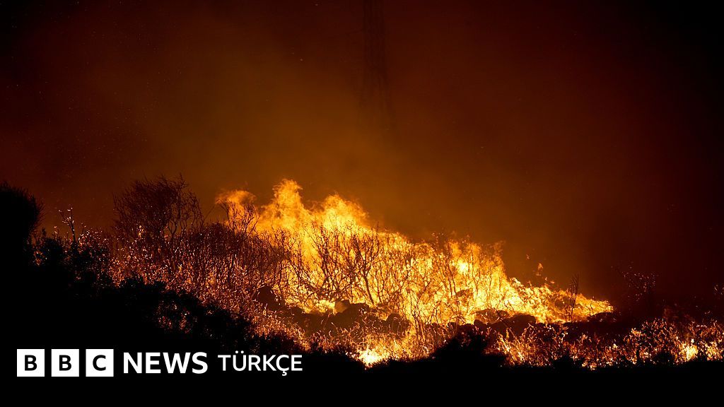 İzmir Çeşme’deki Orman Yangını Kontrol Altına Alınamadı Yangınların Sebebi ve
