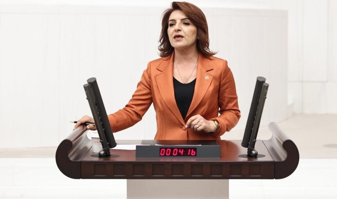 Gülcan Kış: "İdeolojik Yapılar Okullara Sokuluyor" MEB’in 1745 Protokolü ve