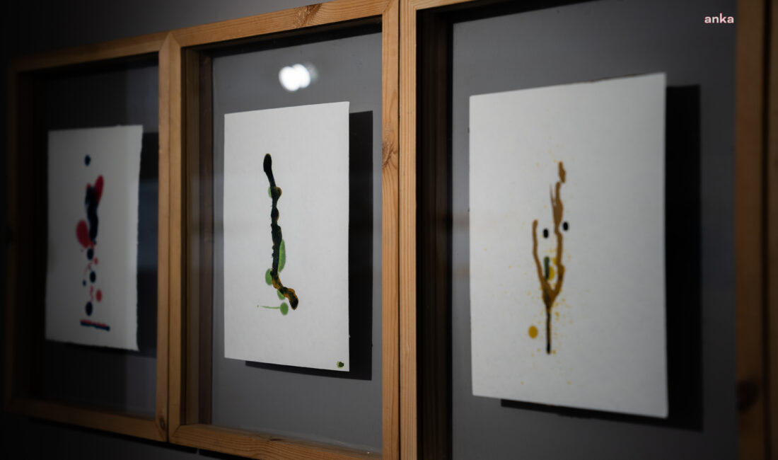 Mehveş Beyidoğlu’ndan "Geçirgen" Sergisi ile Sanat Dünyasına Flaş Giriş! Girne’de