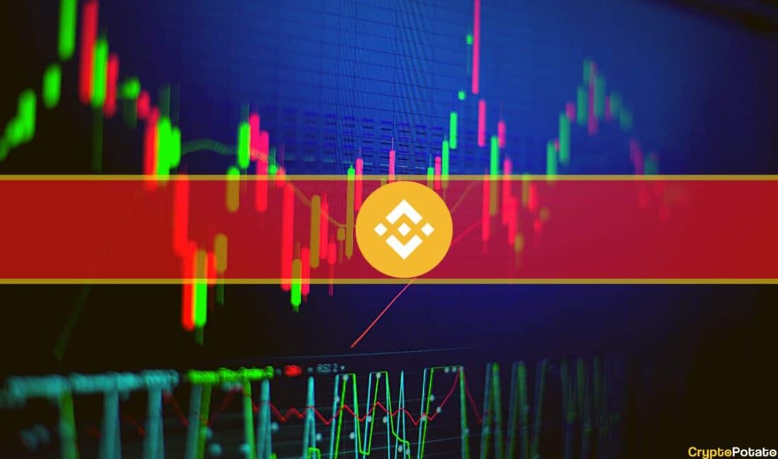 Faiz Stratejileri ve Kripto Varlık Yönetimi: WindTree’nin BNB Yatırımı WindTree’nin