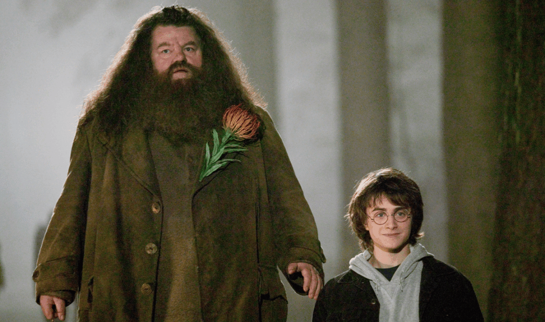 HBO’nun Yeni “Harry Potter” Dizisinden İlk Kareler Yayınlandı Nick Frost,
