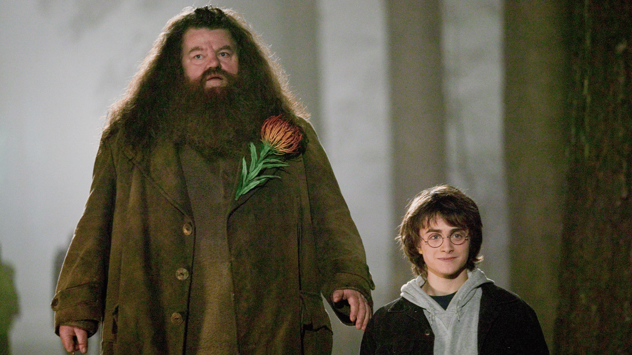 Nick Frost Hagrid Kostumuyle Karsimizda HBOnun Surpriz Projesi