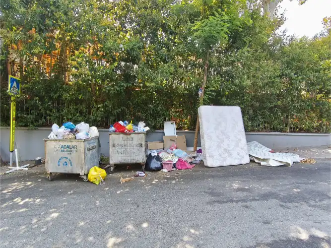 markdown # Eğitim İçin Tehdit Oluşturan Çöp Sorunu: Büyükada’da Okul