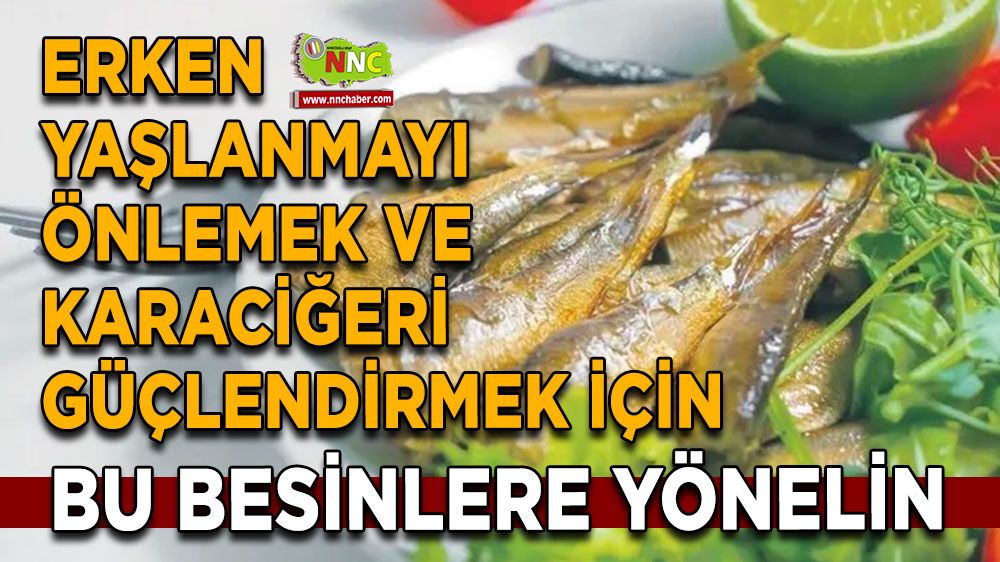 Karaciğer Sağlığı İçin Beslenme Önerileri: Doymamış Yağların ve Sebzelerin Rolü