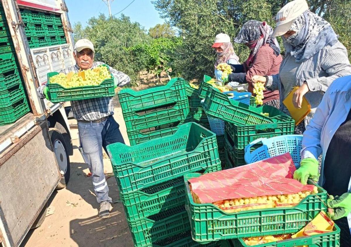 Son Dakika Ciftciler Kazanc Umuduyla Sezona Giris Yapti Kilogram 50