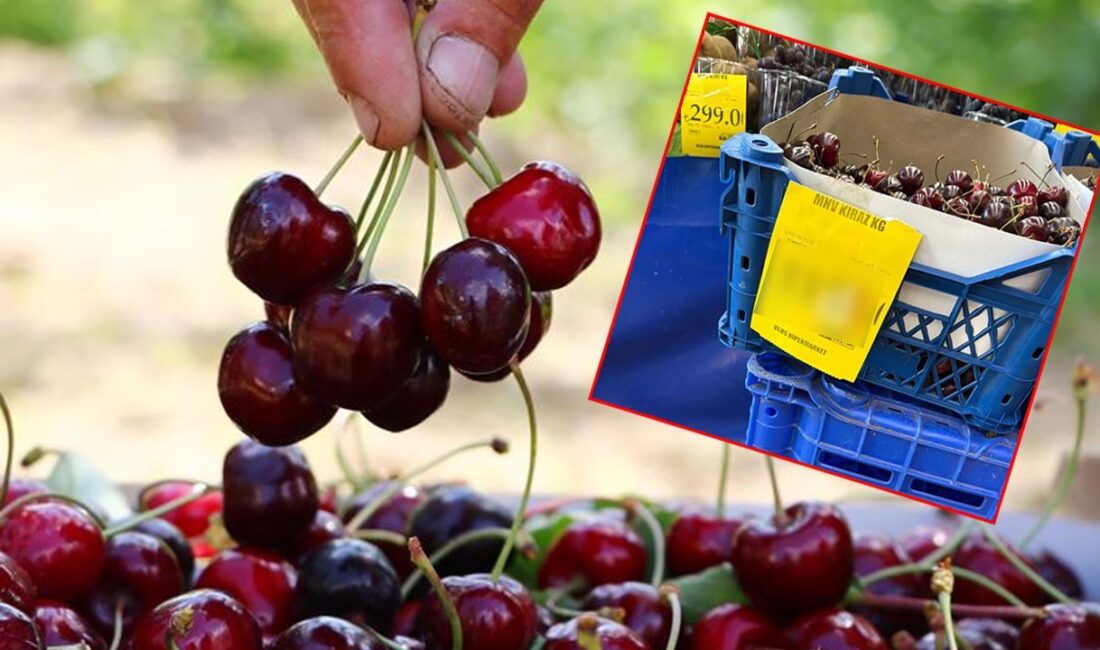 Flaş Gelişme: Kiraz Fiyatları 1000 Lirayı Aştı Güncel Durum: Kirazda