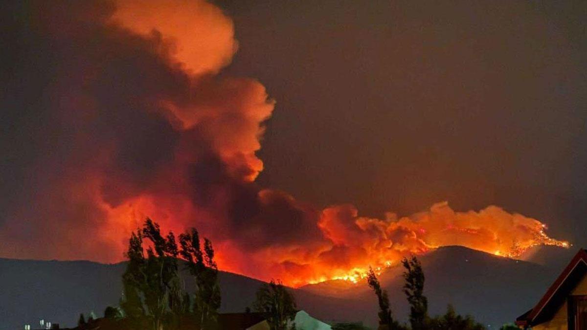 Son Dakika Yanginlar Icin Tepki Yagarken Tatil Keyfi Devam Ediyor