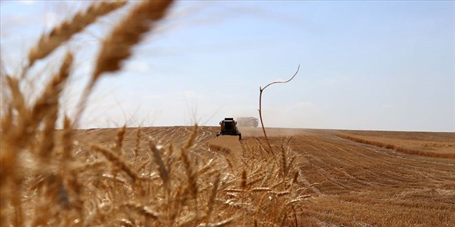 Türkiye’nin Tarımsal Hasılasında Rekor Artış: 2024’te 74 Milyar Dolar Hedefi