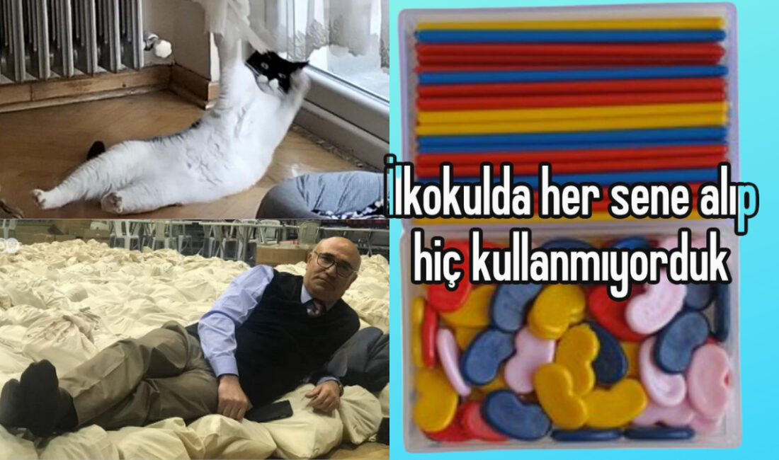 Öğrenciler için Önemli Okul Bilgileri: Devamsızlık, Sınavlar ve Tatil Kararları