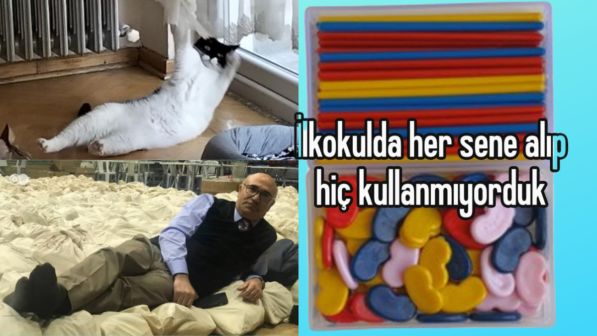 Tatil Gunu Devamsizlik Sinav Ve Veli Toplantisi Mizahi