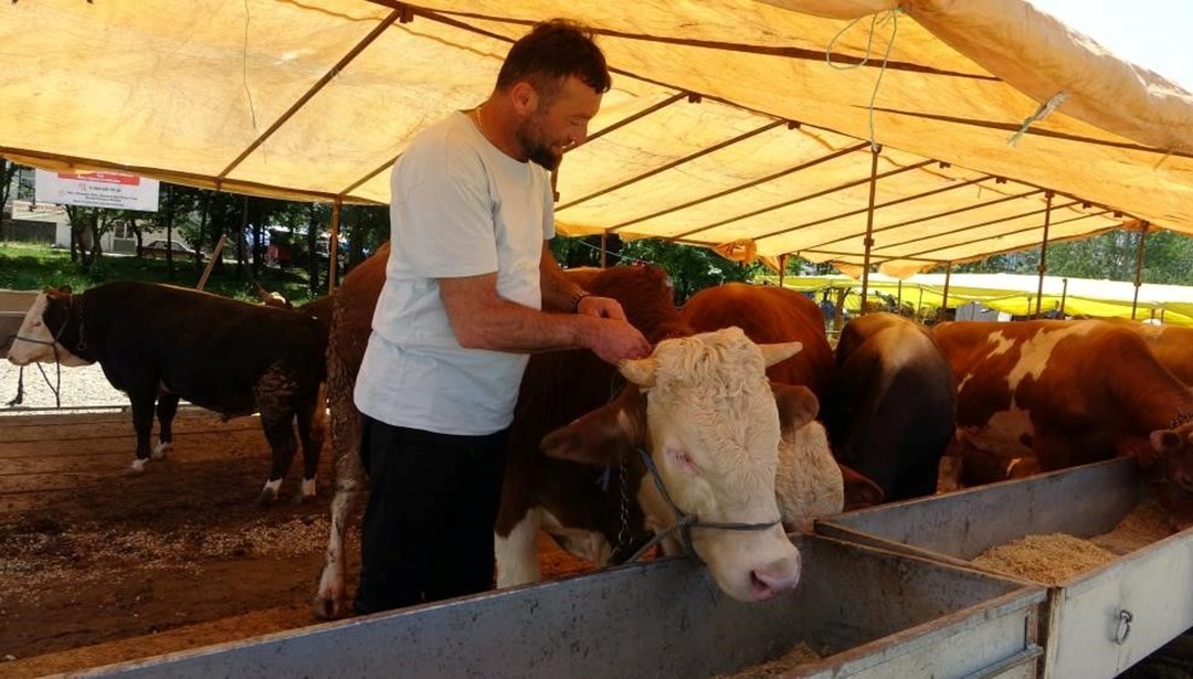Hayvan Pazarları İkinci Bir Emre Kadar Kapatıldı Tarım ve Orman