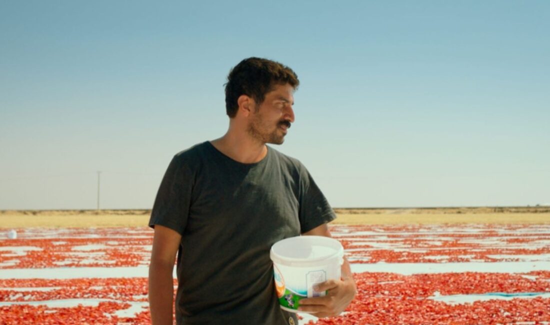 Türkiye’nin 2026 Oscar Adayı: “Hemme’nin Öldüğü Günlerden Biri” Sinema Dünyasında