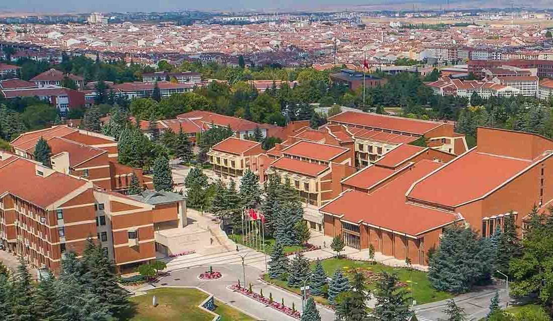 Anadolu Üniversitesi’nde Çöküş: Sorunlar ve Çözüm Önerileri Tarihi ve Değer