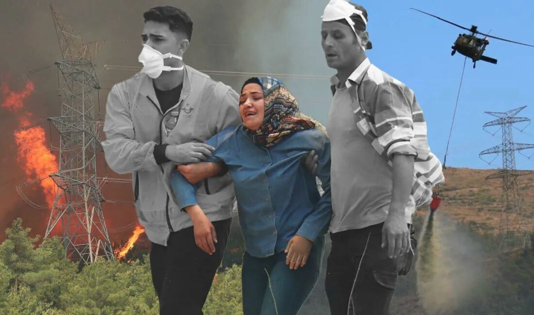 Türkiye Orman Yangınlarıyla Mücadele Ediyor: İzmir, Manisa ve Hatay’daki Son