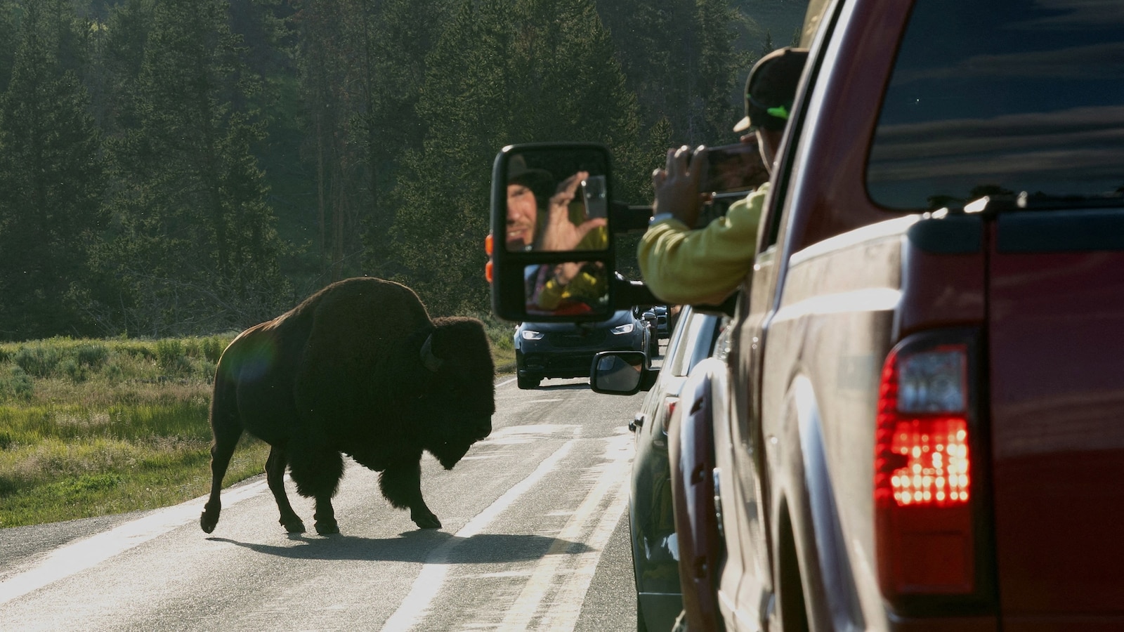 Yellowstonedaki Yaban Hayatinin Gocu Hakkinda Yanlis Bilgiler Yayiliyor