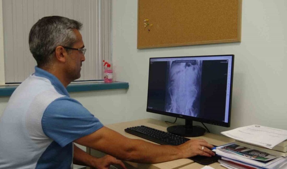 Böbrek Yetmezliği: Erken Teşhis ve Koruyucu Önlemlerin Önemi Böbrek Yetmezliği