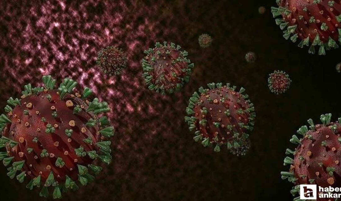 Dünya Sağlık Örgütü’nden Maymun Çiçeği (Mpox) Uyarısı Maymun Çiçeği Salgını