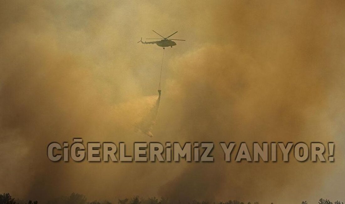 Türkiye’nin Batısında Orman Yangınları: Çanakkale, İzmir ve Malatya’da Alevlerle Mücadele