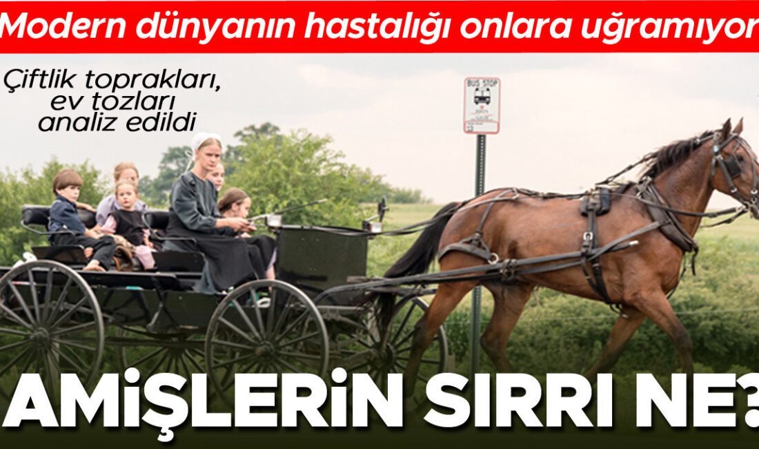 Alerjilere Karşı Dirençli Topluluk: Amişler ve Bağışıklık Sırları Alerjilerin Artışı