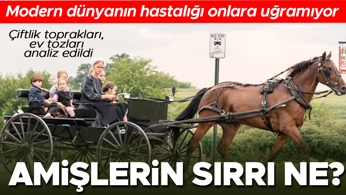 Alerjilere Karşı Dirençli Topluluk: Amişler ve Bağışıklık Sırları Alerjilerin Artışı