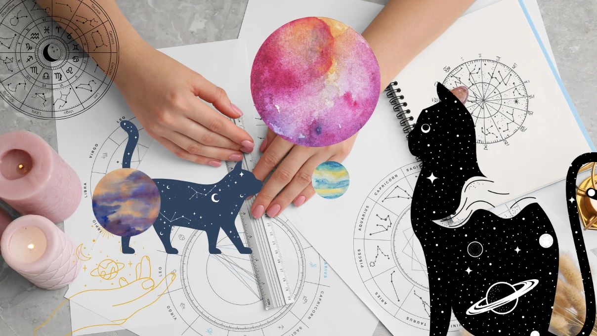 astroloji 1 1