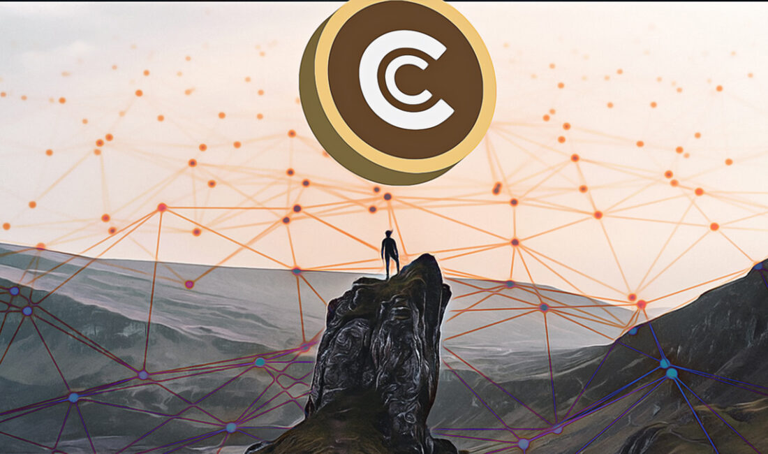 TST Coin’in Ani Değeri Kaybı: Piyasa Tepkileri ve Sonuçları TST