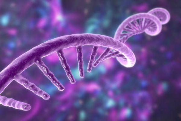 Columbia Üniversitesi’nden mRNA Tabanlı Yenilikçi Antiviral Tedavi ISG15 Genetik Mutasyonu