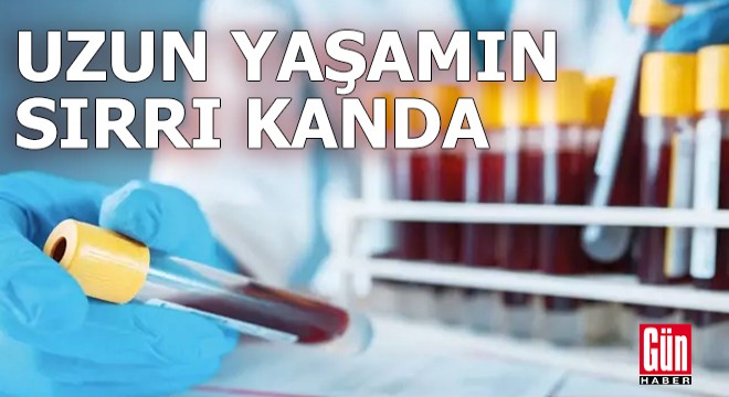 Mars’ın Terazi Burcuna Geçişiyle Ağustos Ayında İlişkilerde Hareketlilik Başlıyor Ağustos