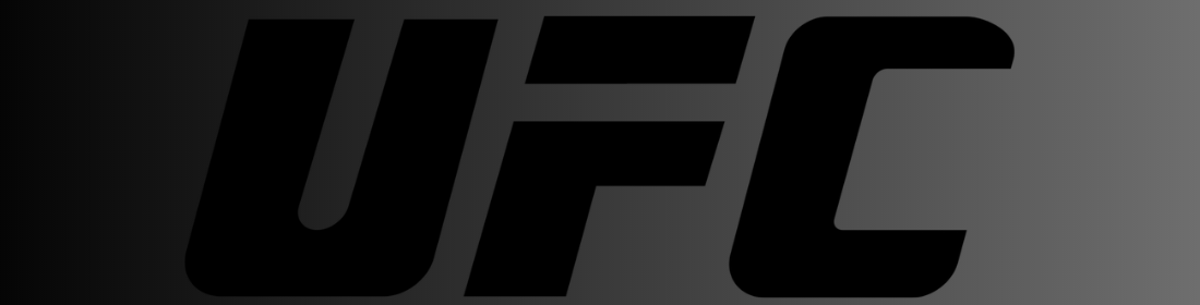 UFC Fight Night: Xiao Long ve SuYoung You Arasındaki Bantamweight