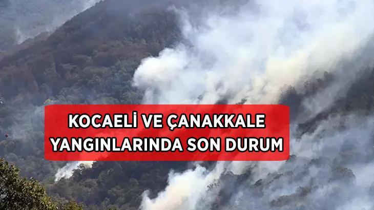Kocaeli’de Orman Yangını: Karamürsel’de Büyük Tehlike Yangının Sebebi Henüz Belirsiz