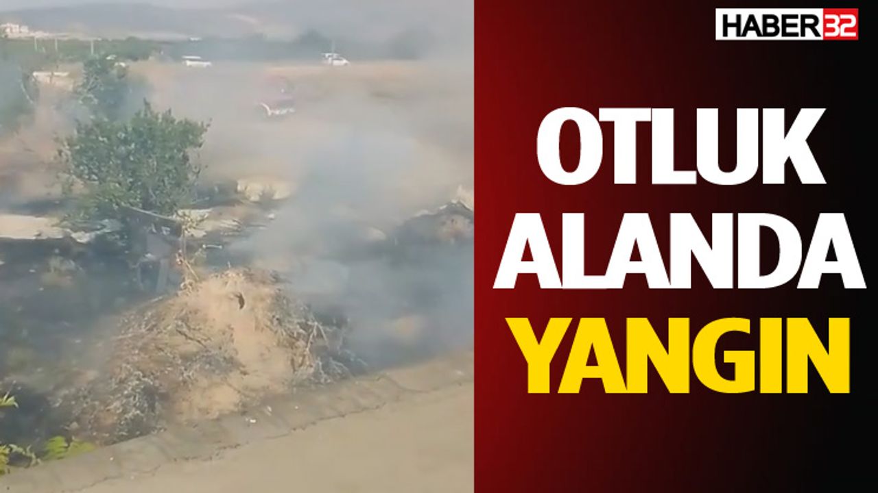 Cunur Mahallesinde Otluk Alanda Yangin Ogretmenler Icin Etkileri