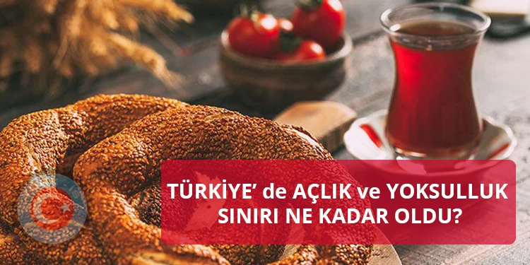 Türkiye’de Gıda ve Yaşam Maliyetleri: Ağustos 2025 Durumu 1. Aylık