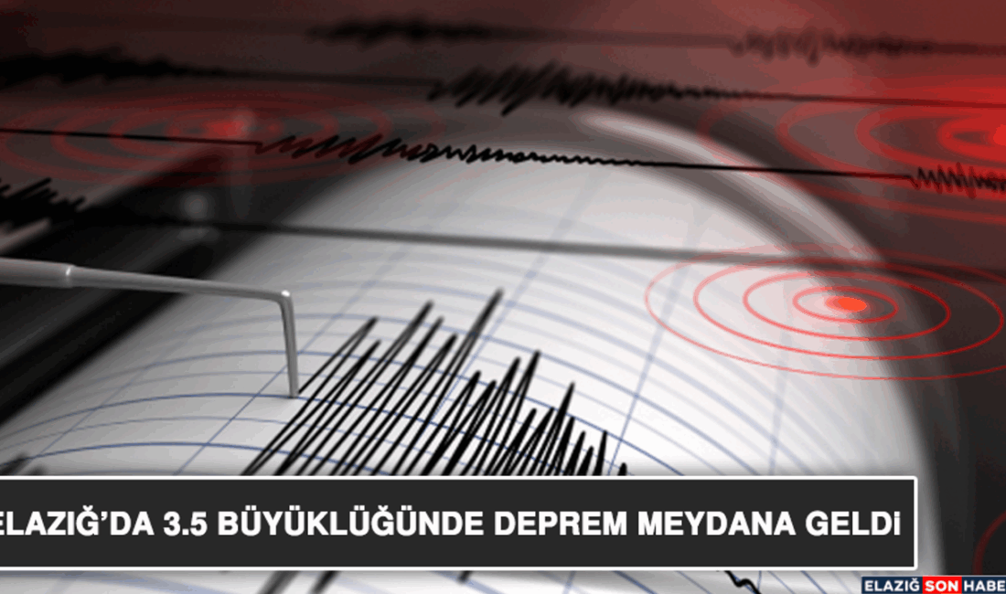 Bursa Yenişehir’de Orman Yangınına Yoğun Müdahale Afet ve Acil Durum
