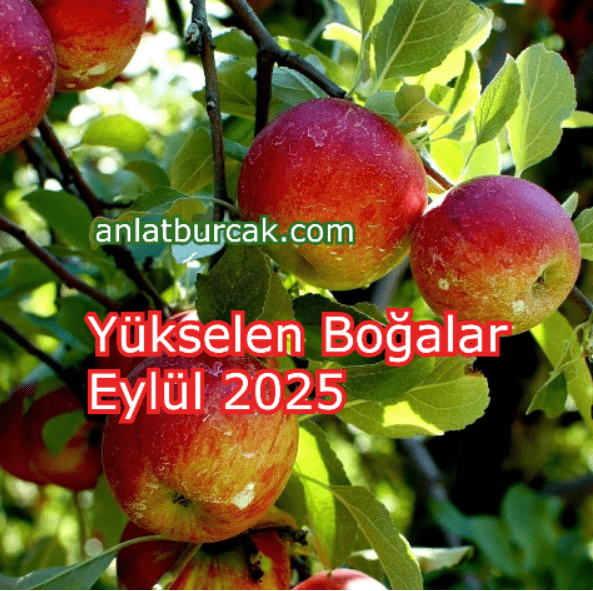 Yükselen Boğalar: Eylül 2025’in Astrolojik Etkileri Merhaba Sevgili Okuyucularım Eylül
