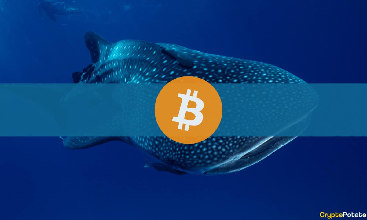 bitcoin‘den Ethereum’a Büyük Yatırımcı Hamlesi: 2.000 BTC Satış ve 49.850