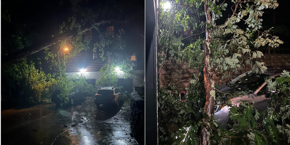 Charlotte Bölgesinde Sel ve Yağış Hasarları: Son Durum CHARLOTTE, N.C.