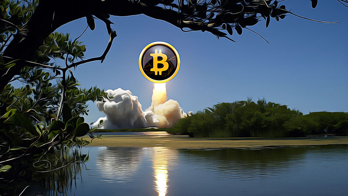 CryptoAppsy ile kripto Piyasalarında Anlık Takip İmkanı kripto para dünyasında