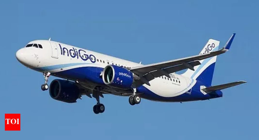 Mumbai-Kolkata IndiGo Uçuşunda Yabancı Geçmişi Kötü Olmayan Bir Yolcuya Saldırı