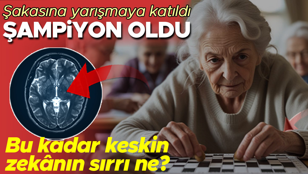 Flas Gelisme Yarismaya Katilan Yasli Zekasi ve Saglik Iliskisi