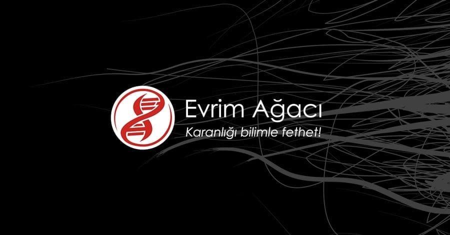 Astroloji: Bilim mi, Sanat mı? Astroloji, insan hayatındaki olayları gökyüzündeki